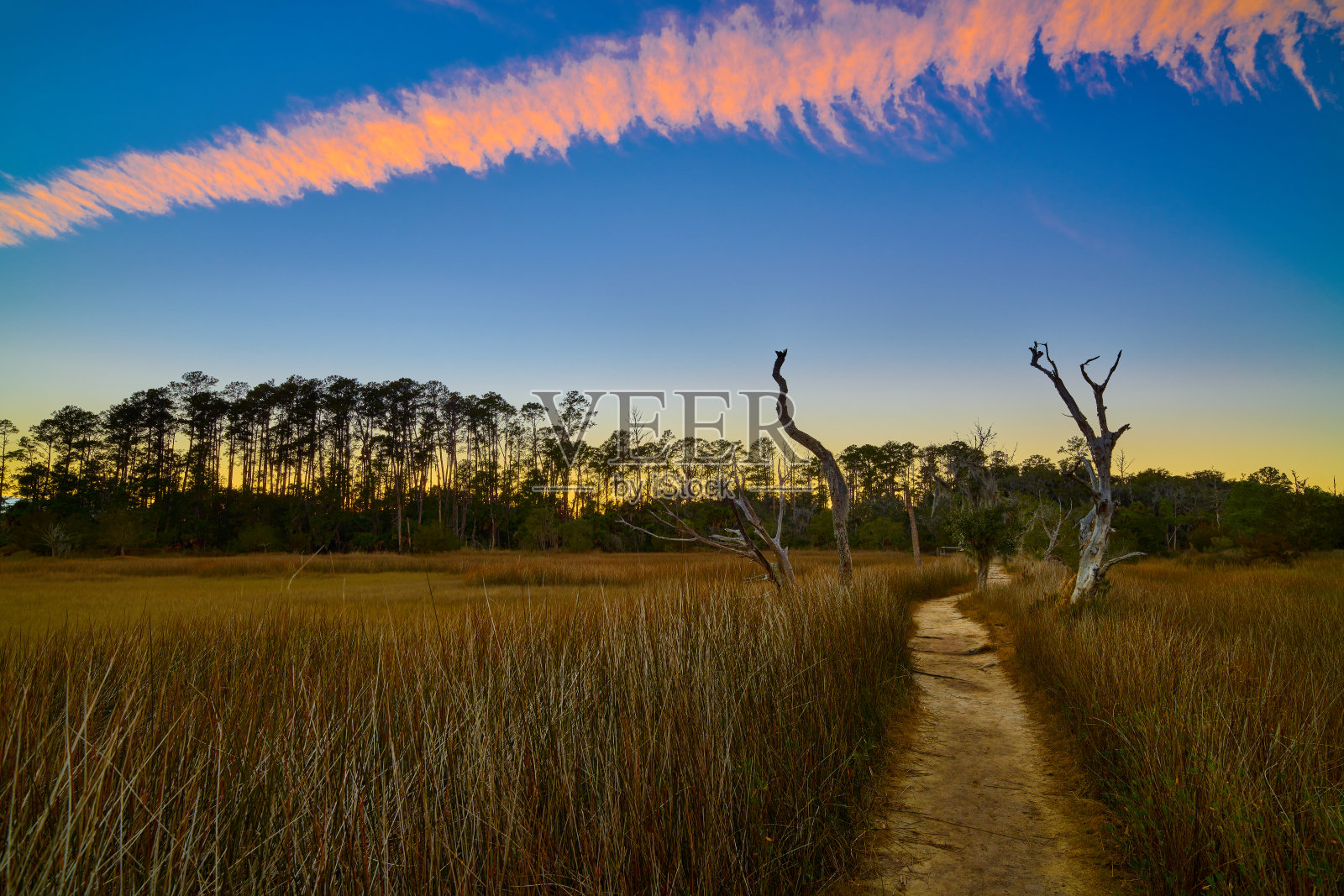 乔治亚州Skidaway岛州立公园的鸟道上的日落。照片摄影图片