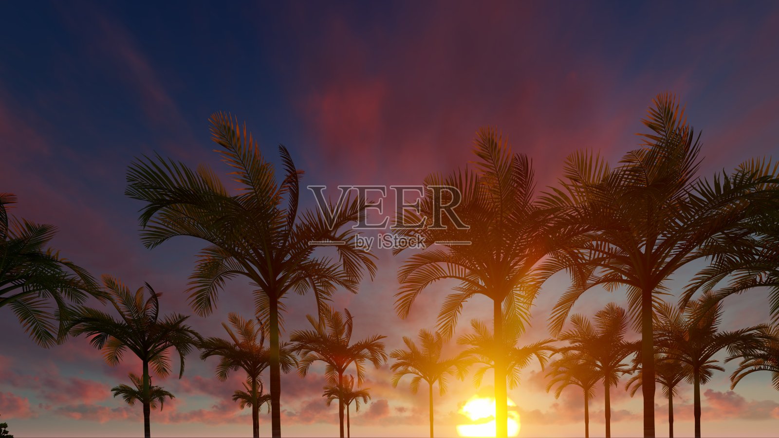 棕榈树与美丽的日落在背景，3d插图照片摄影图片