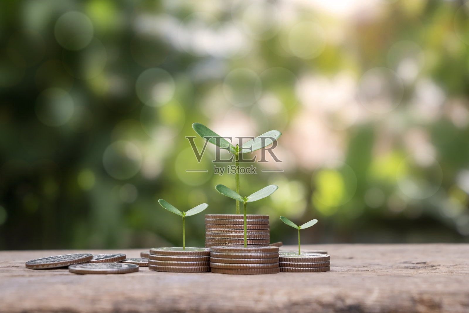 树木在一堆堆的硬币上生长，背景是模糊的绿色。省钱和发展经济的想法照片摄影图片
