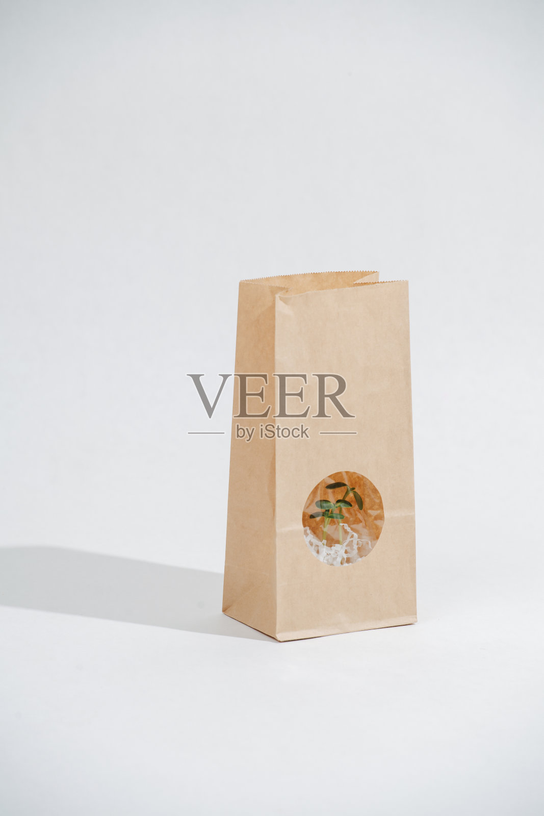 绿色的植物透过窗户展示在一个棕色的纸袋白色照片摄影图片