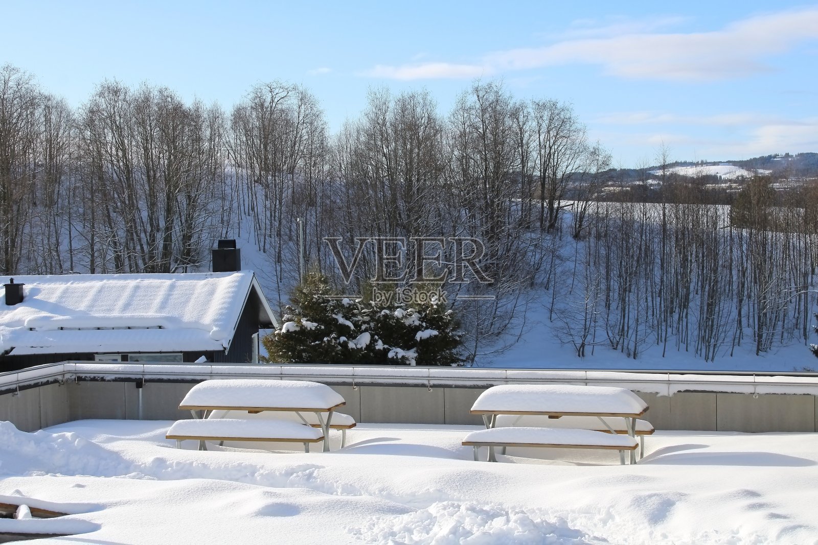 下雪的景色照片摄影图片