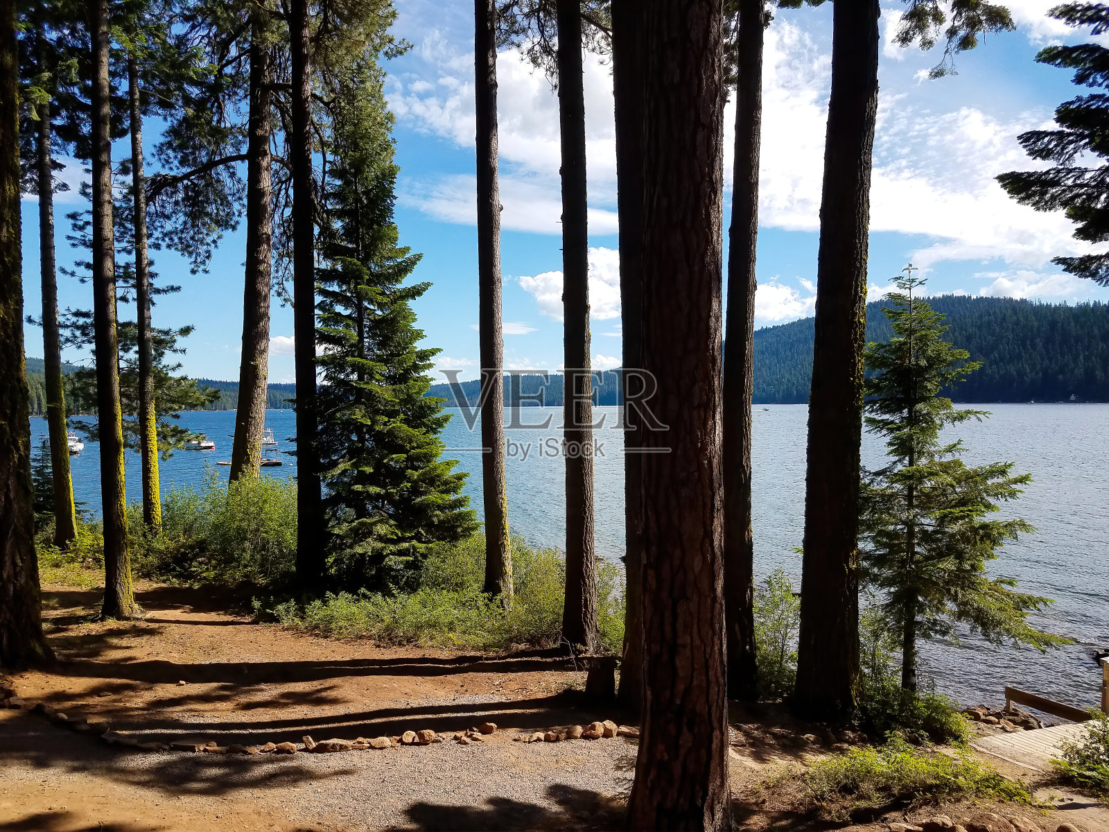 透过树木看湖照片摄影图片