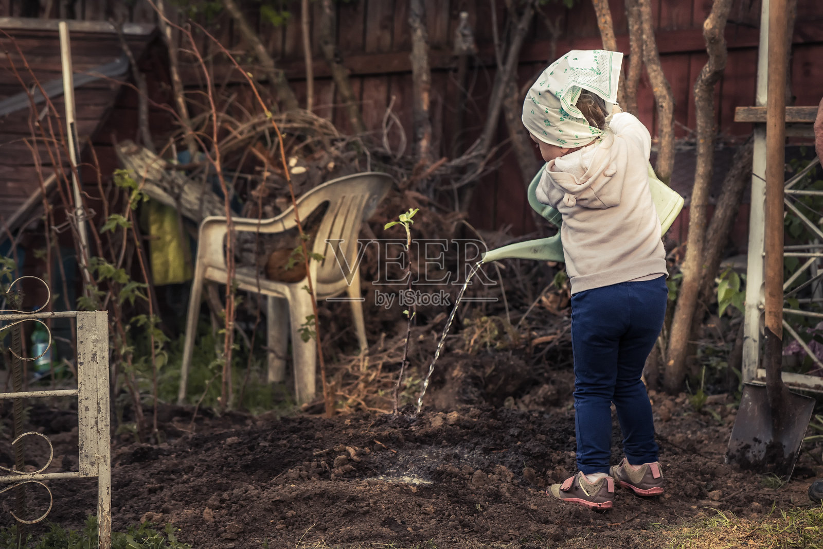 小女孩用洒水罐洒水栽在花园里的树照片摄影图片