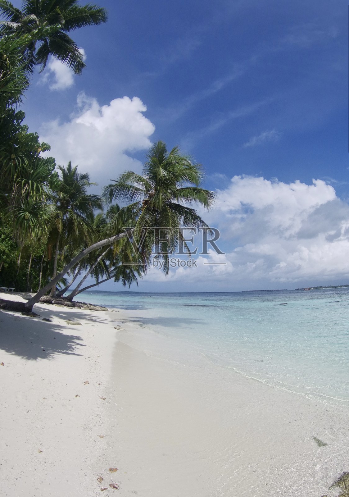 天堂里的日子照片摄影图片