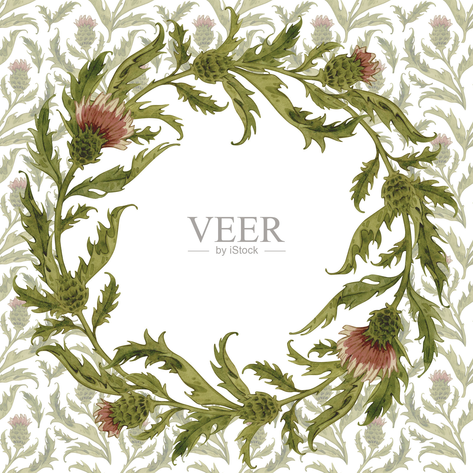 老式水彩圆形植物框架与蓟，野花手绘插图孤立在白色。插画图片素材