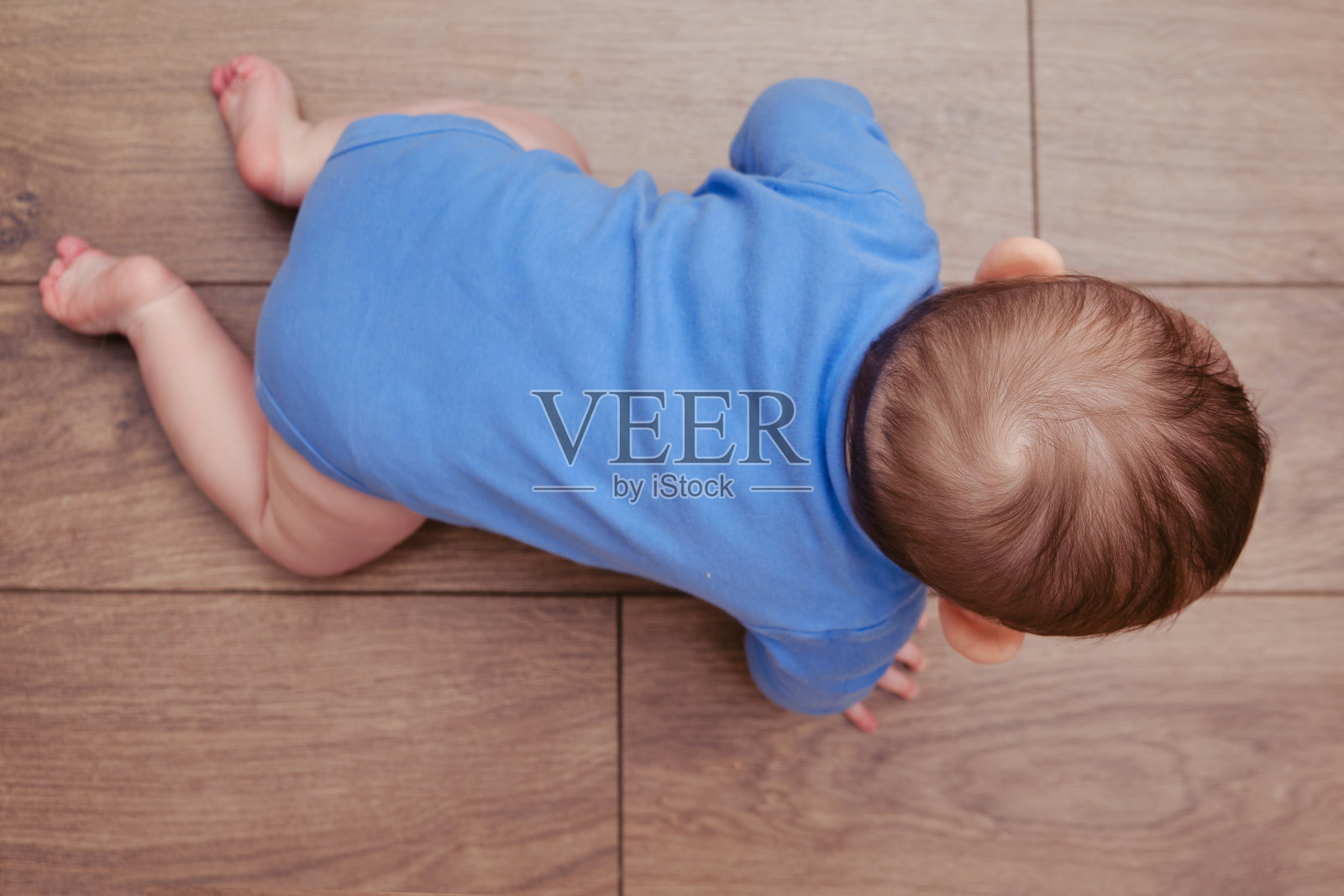 快乐的幼童爬在木板上。客厅镶木地板上的滑稽孩子照片摄影图片