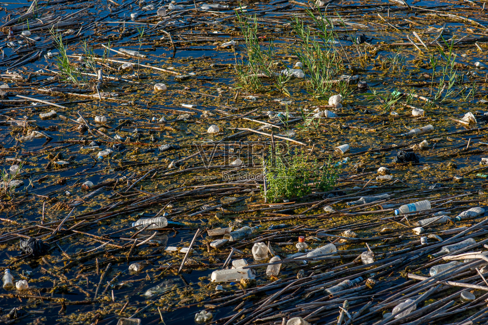 湖里有一堆塑料瓶照片摄影图片