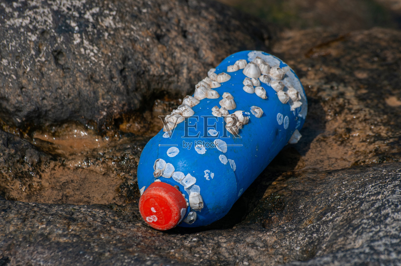 蓝色的药箱飘向海边照片摄影图片