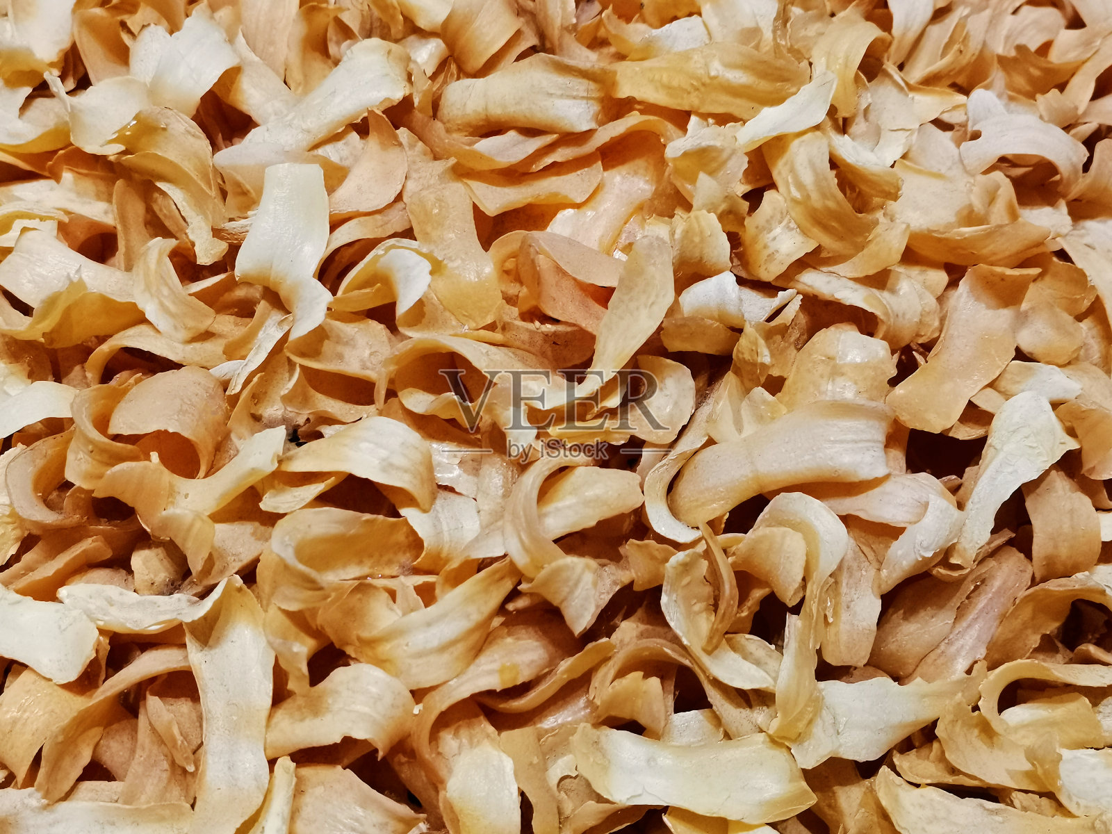 干百合照片摄影图片