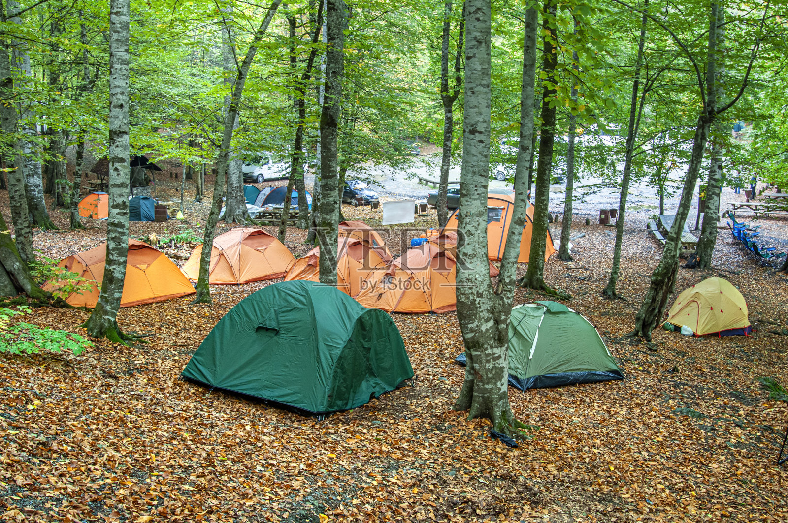 Yedigöller国家公园拥挤的帐篷露营照片摄影图片