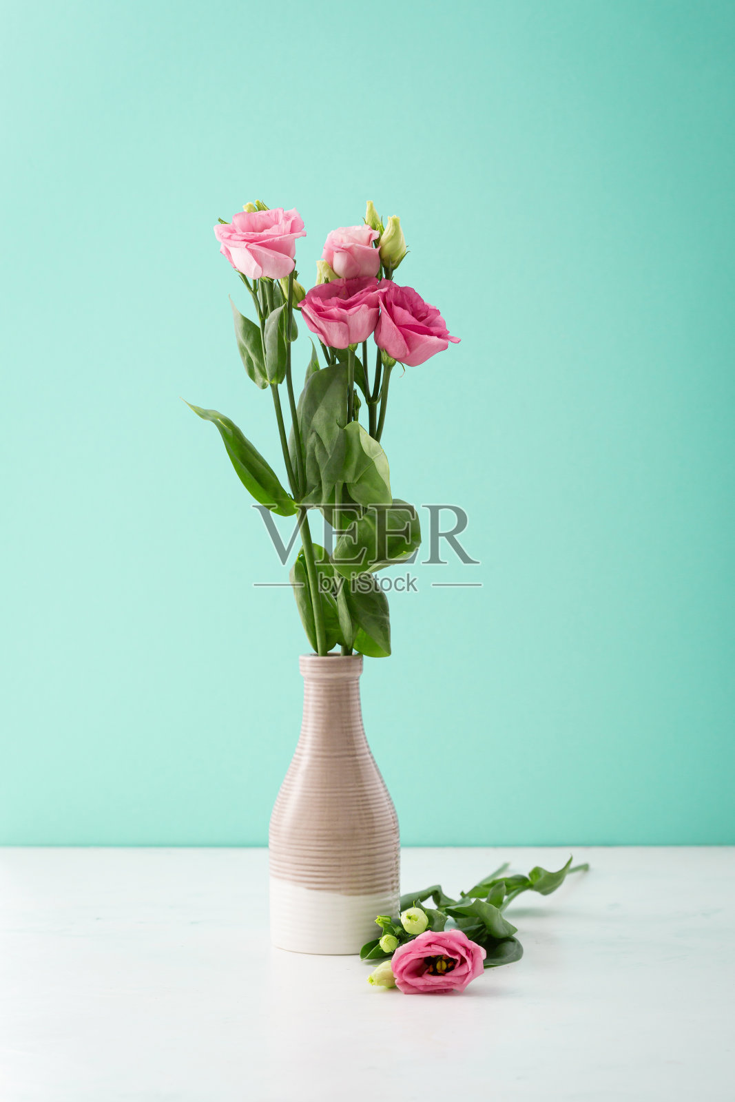 粉红色的花在花瓶上，在浅色的背景下照片摄影图片