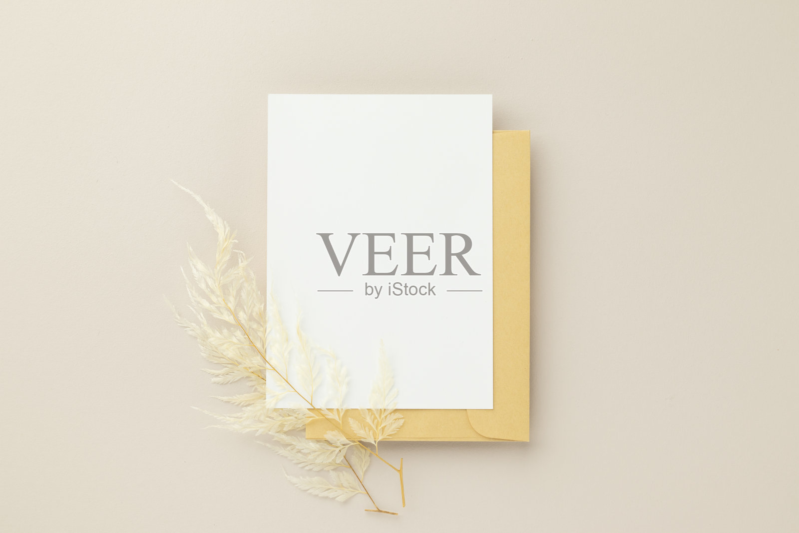 空白贺卡邀请模型5x7在棕色信封上与米色背景上的干花，平躺，模型照片摄影图片