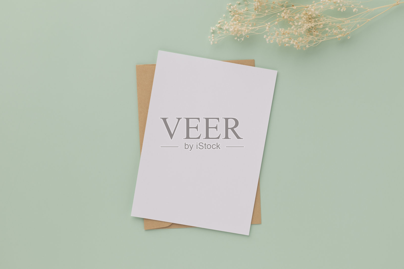 空白贺卡邀请模型5x7在棕色信封上粉彩绿色背景上的干花，平躺，模型照片摄影图片