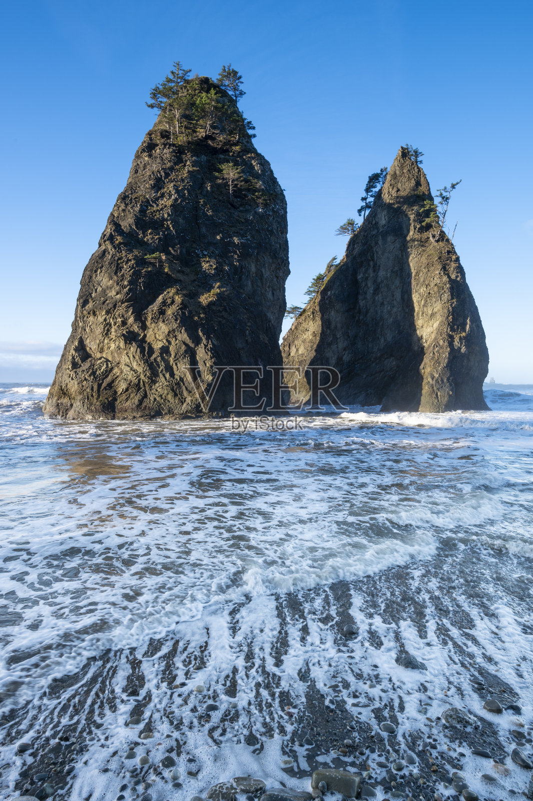 奥林匹克国家公园海岸线上的海蚀柱照片摄影图片