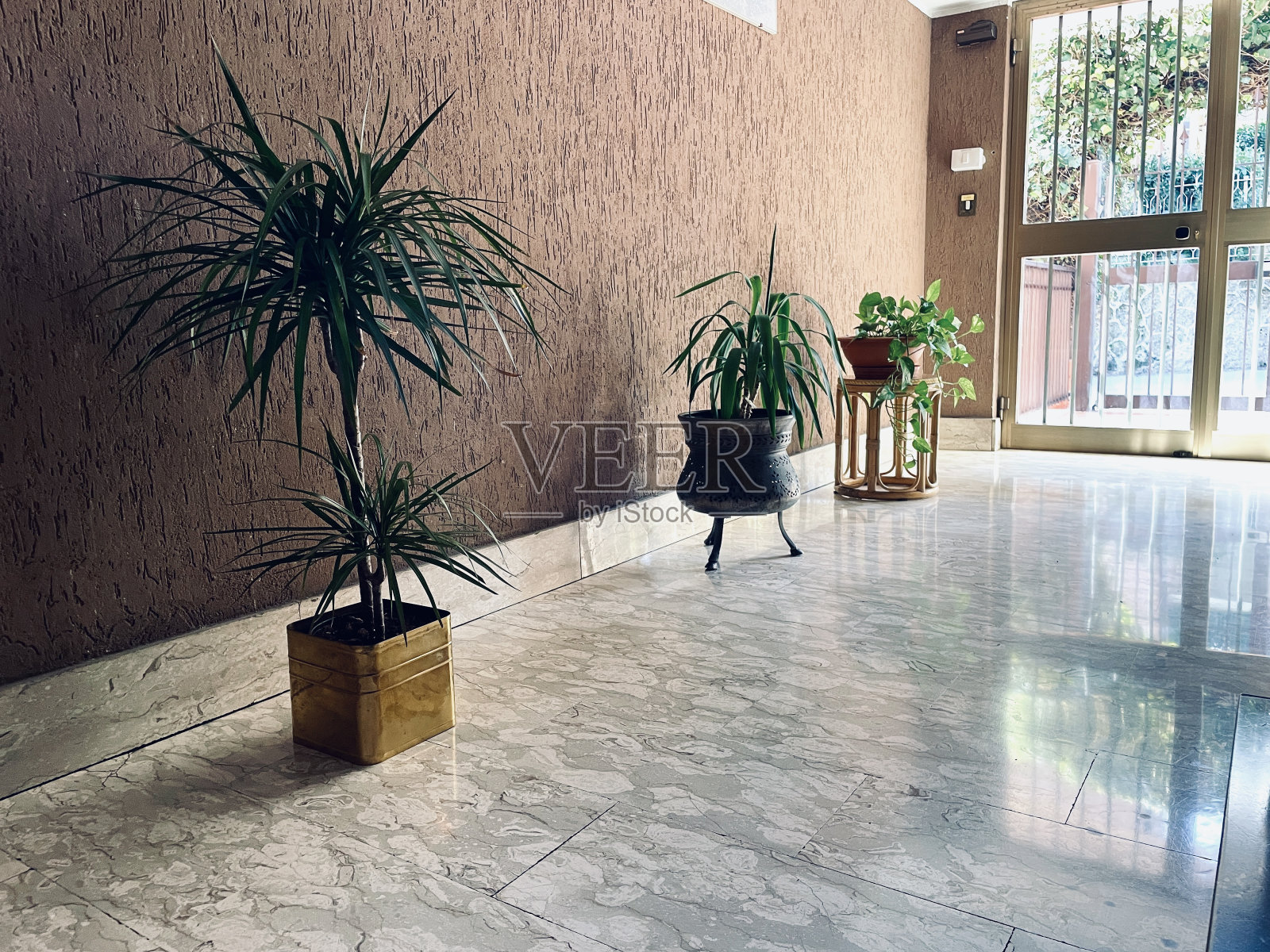 家中的花盆照片摄影图片