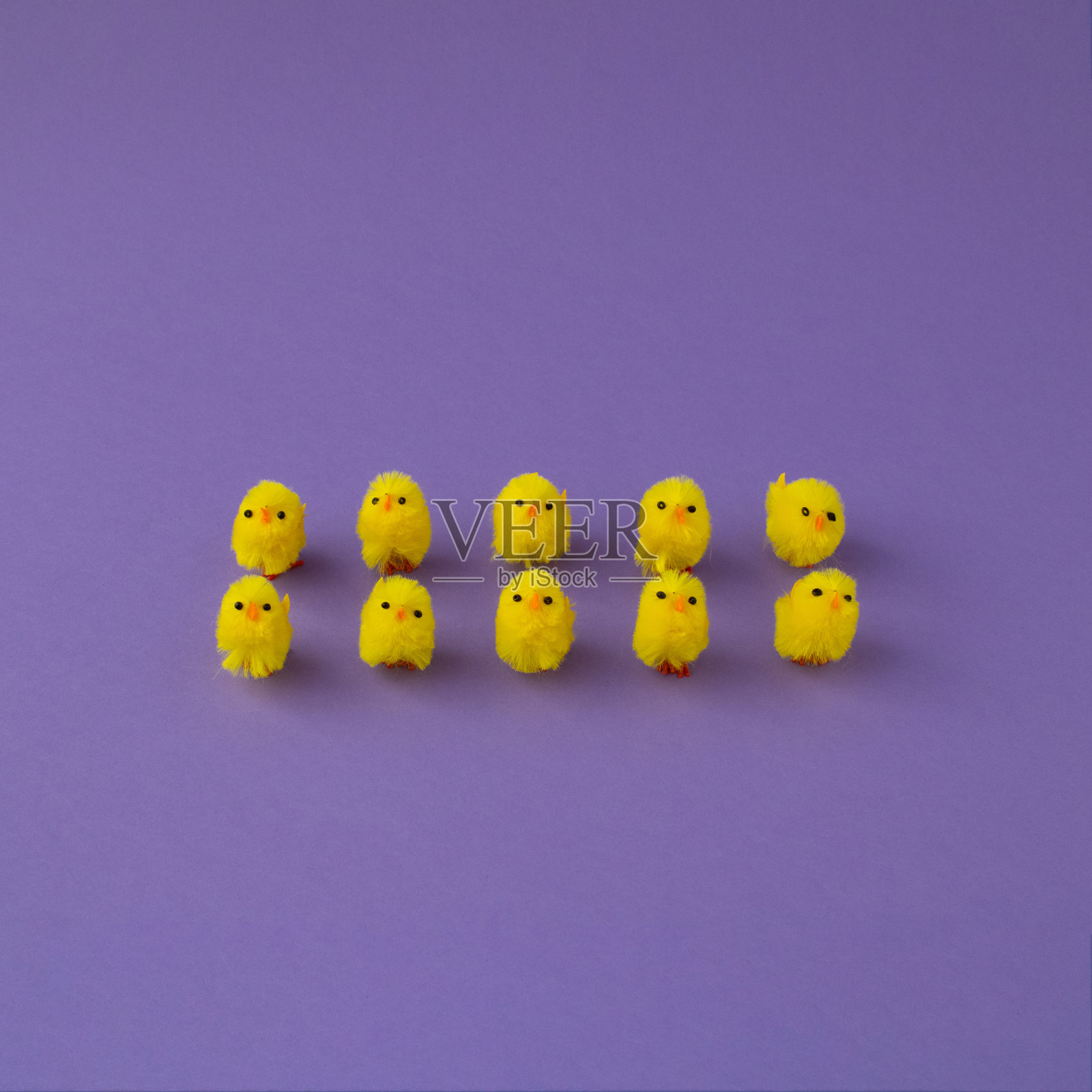 2022年复活节和春天的概念。一排有趣的黄色小鸡。复活节紫色背景。创造性的复活节的安排。照片摄影图片