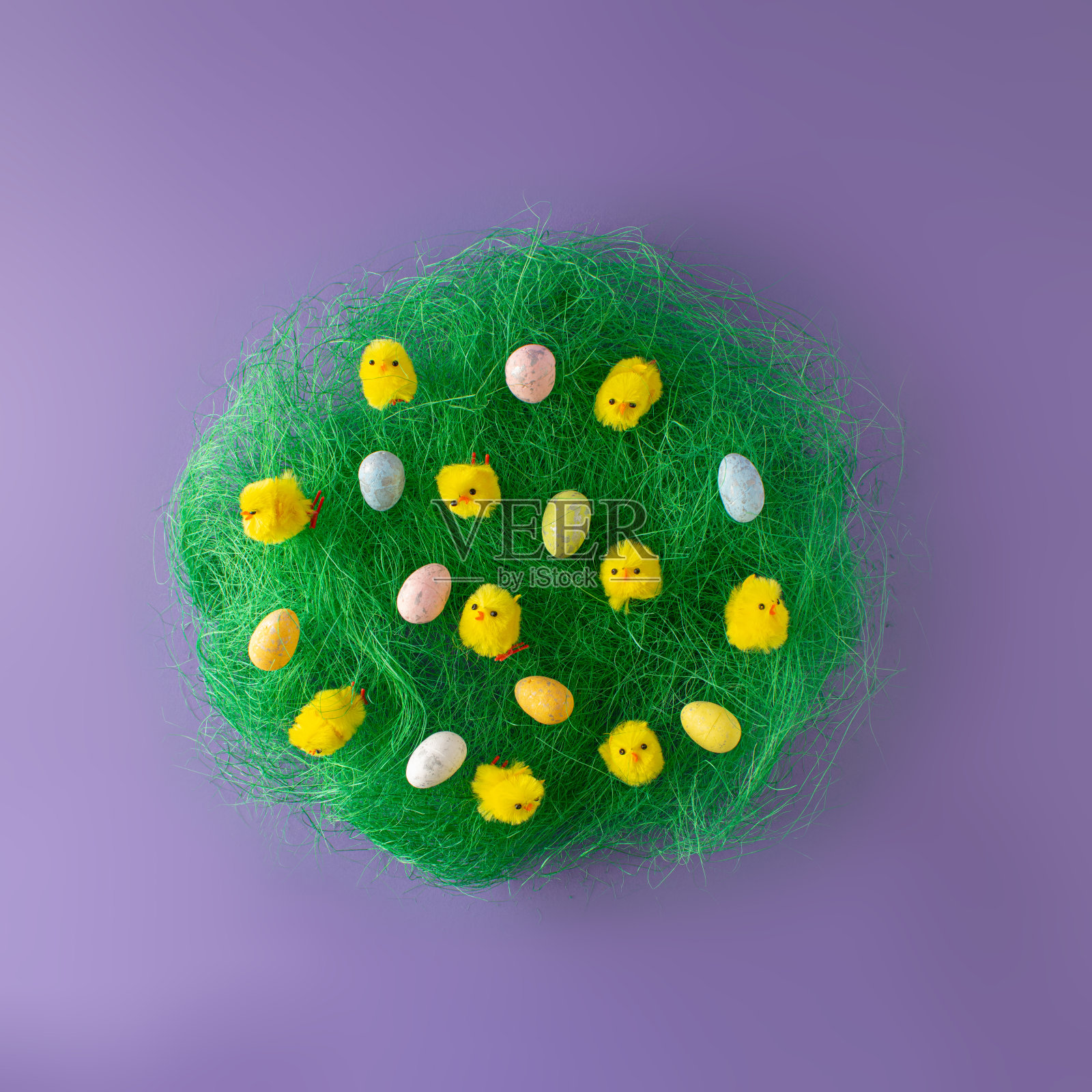 2022年复活节和春天的概念。有趣的黄色的小鸡在绿色的草地上排着复活节彩蛋。复活节紫色背景。创造性的复活节的安排。照片摄影图片