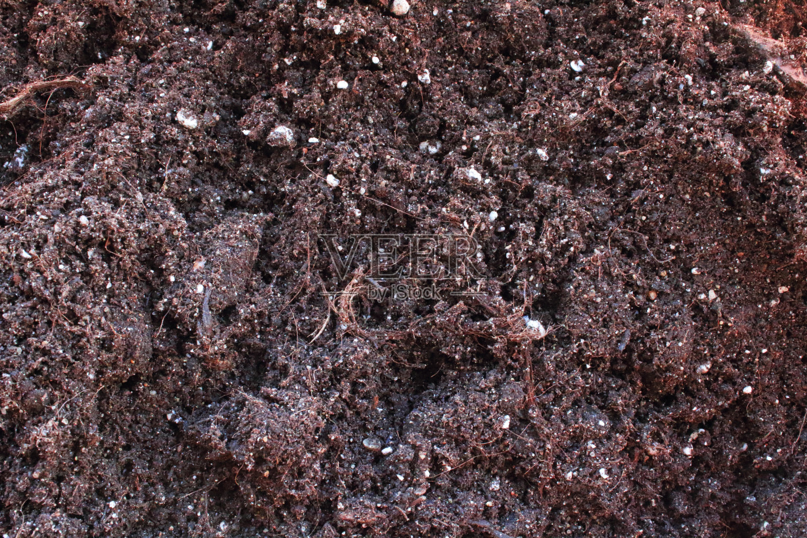 黑色的土壤。特写镜头。前视图。背景。纹理。照片摄影图片
