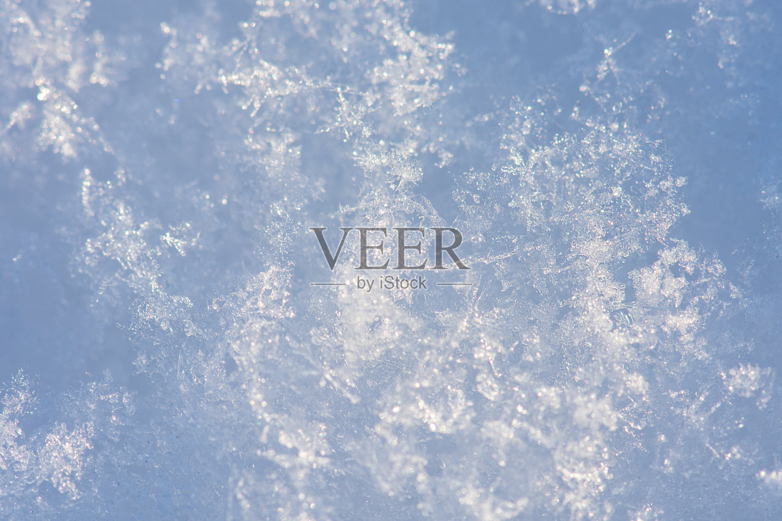 圣诞节贺卡的背景。新雪覆盖特写俯视图。照片摄影图片