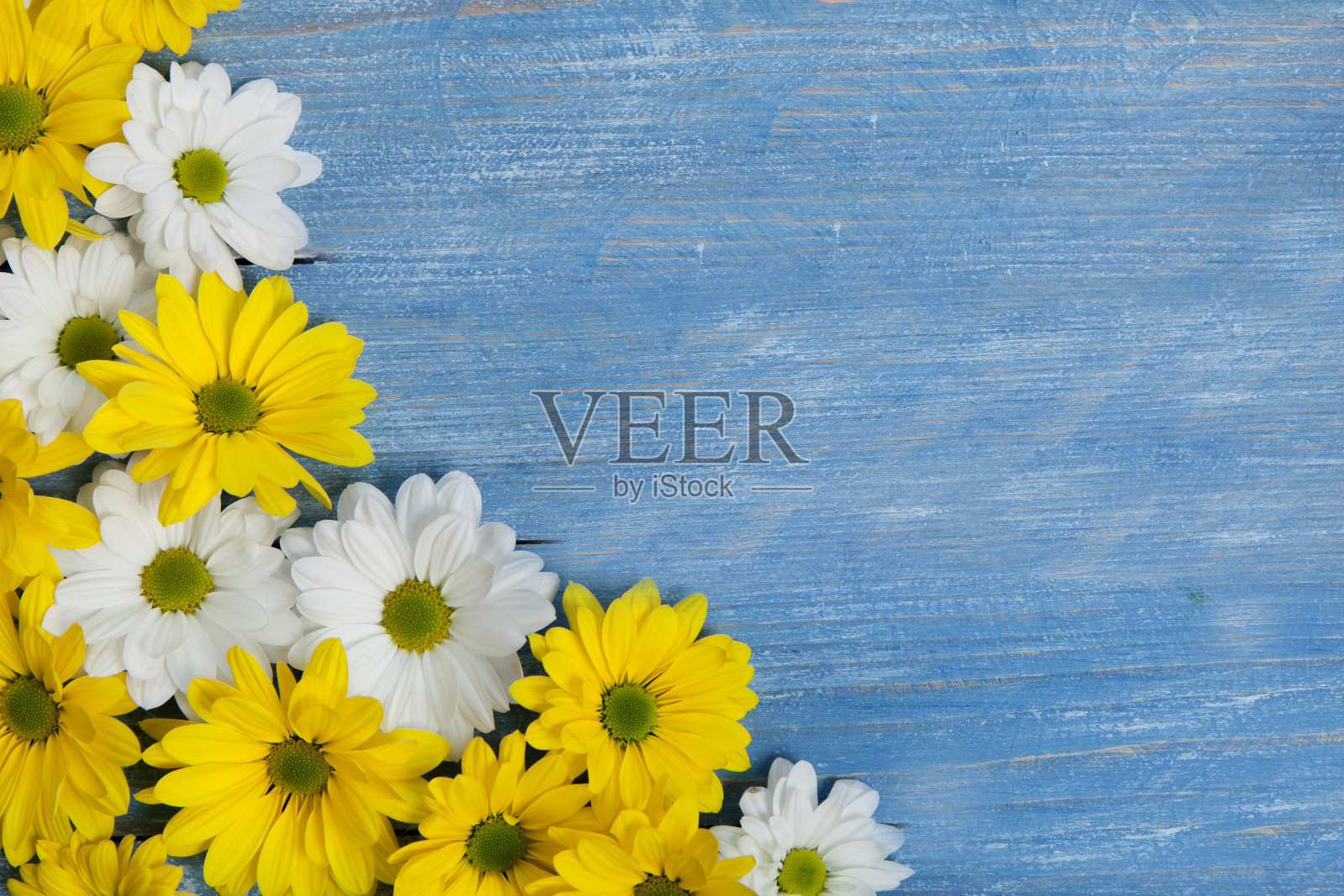 文字的花朵背景照片摄影图片