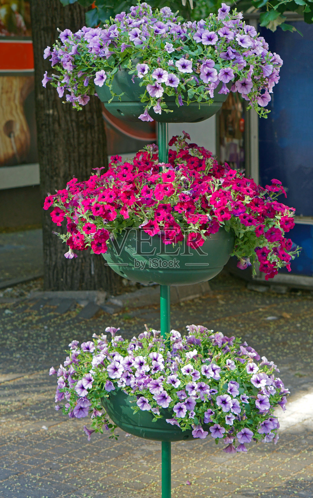 多层街花照片摄影图片