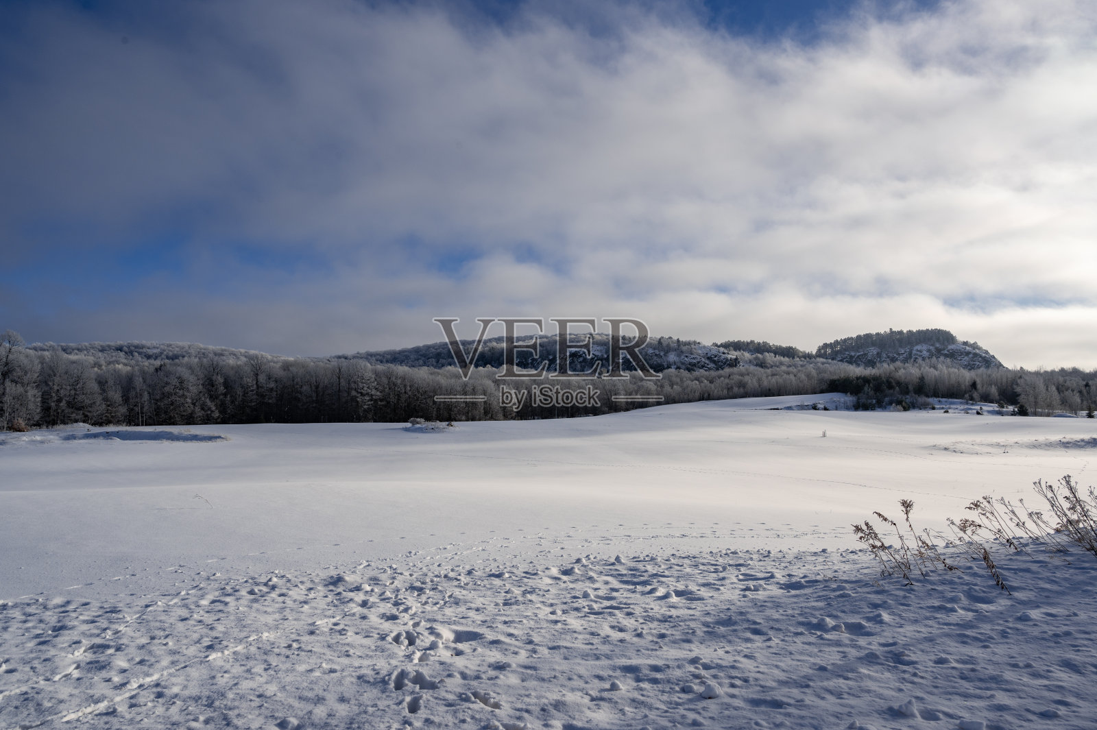 雪原上的冬季风景照片摄影图片