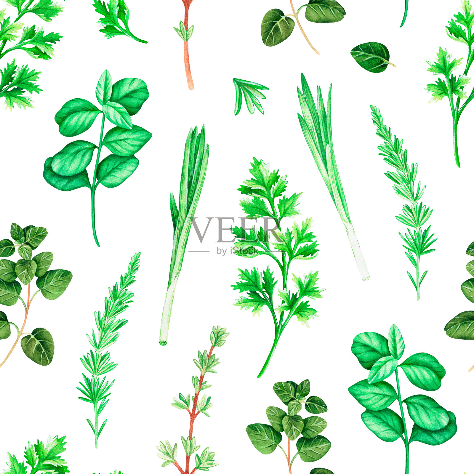 无缝模式调味香草。水彩插图。孤立在一个白色的背景。插画图片素材