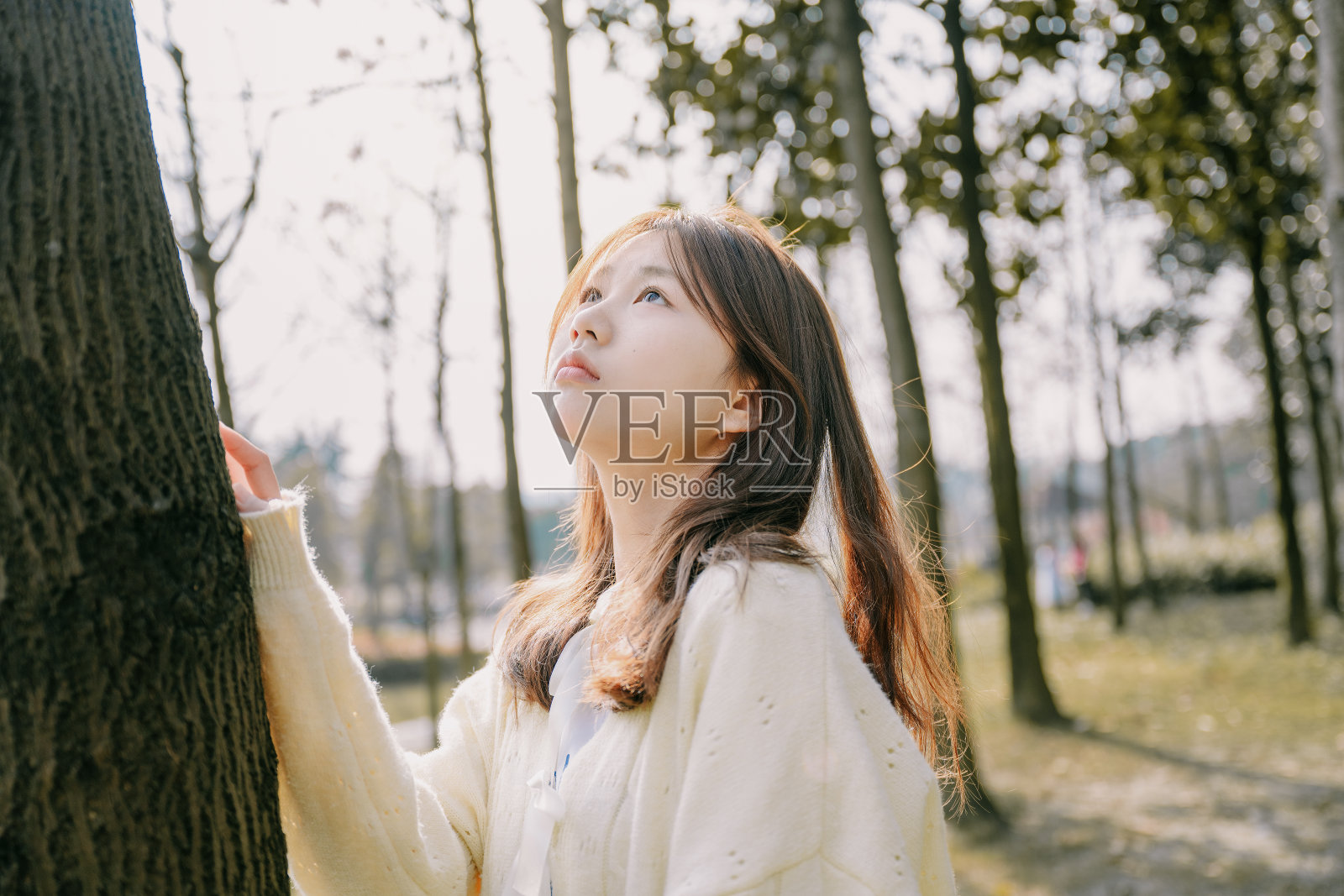 一个美丽的亚洲女孩在阳光下靠在一棵树上照片摄影图片