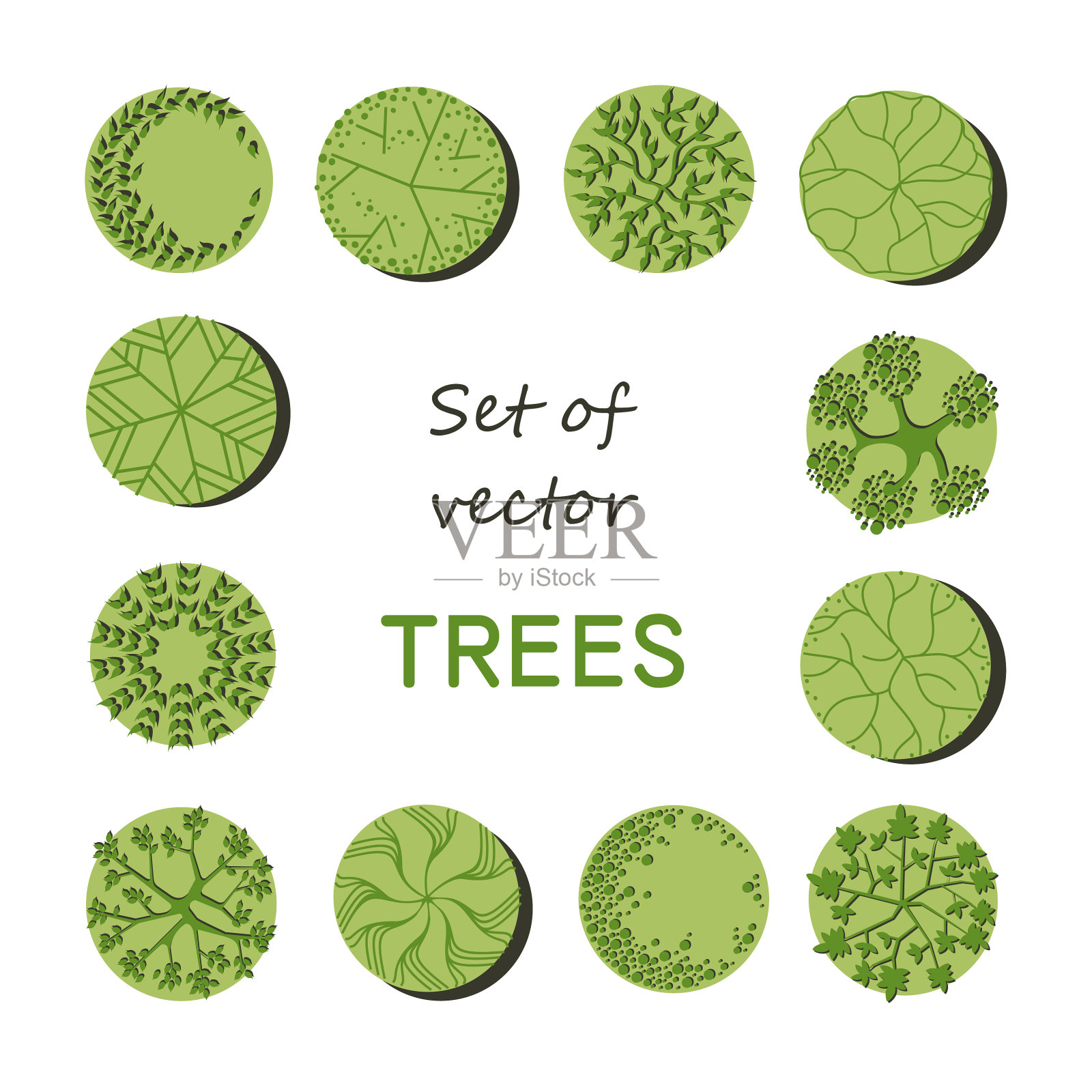 总体规划中的树木。各种乔木、灌木、灌木，为景观设计方案的俯视图。矢量插图。插画图片素材