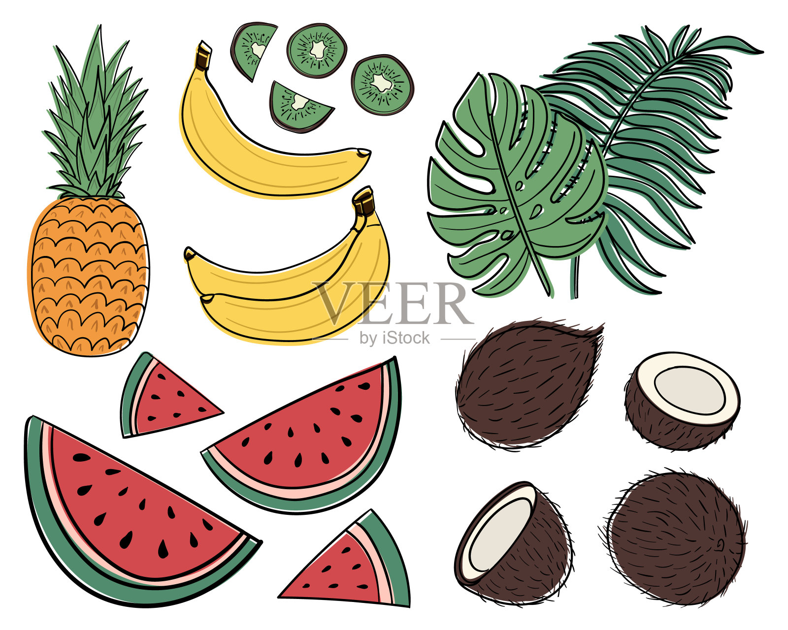 集热带水果和热带树叶于一身。插画图片素材