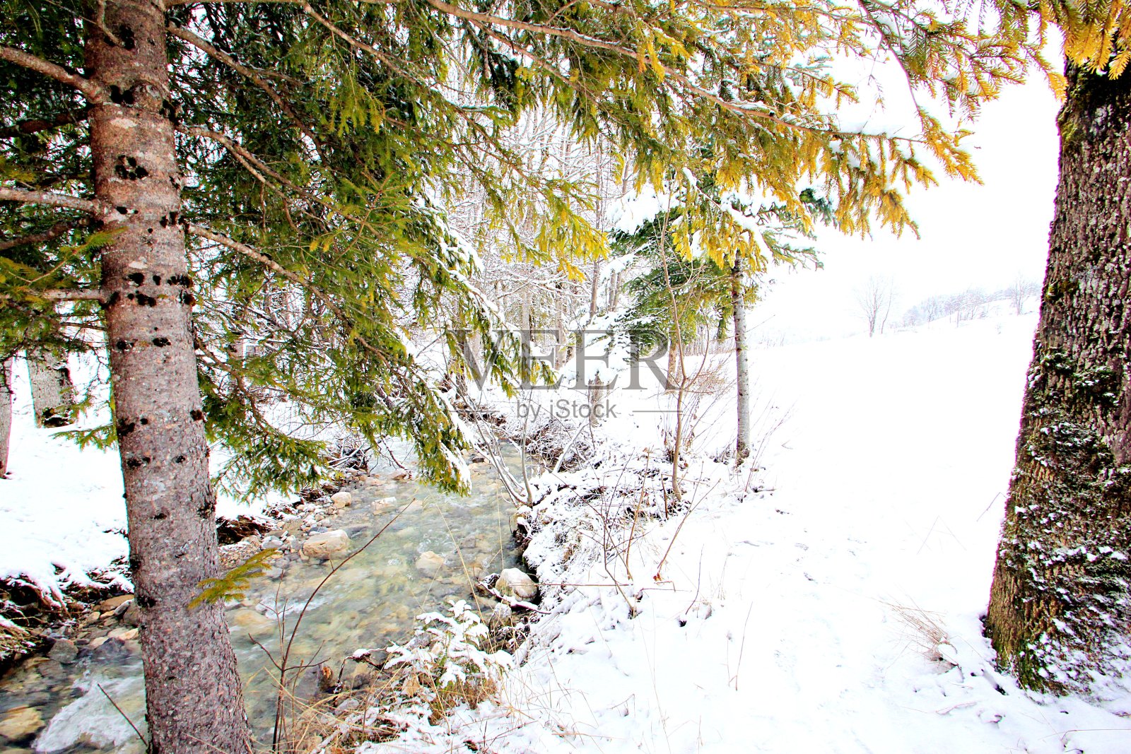 Gresse非-Vercors照片摄影图片