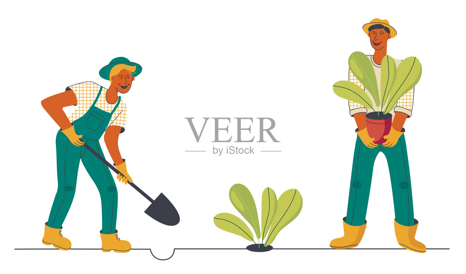 男人种植植物，用铲子挖地，在家里的花园里种植植物。插画图片素材