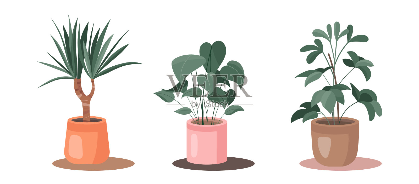 盆栽植物。可爱的盆栽绿色植物。白色背景上孤立的家花。载体万花叶、龙血藤、舍夫莱插图。插画图片素材
