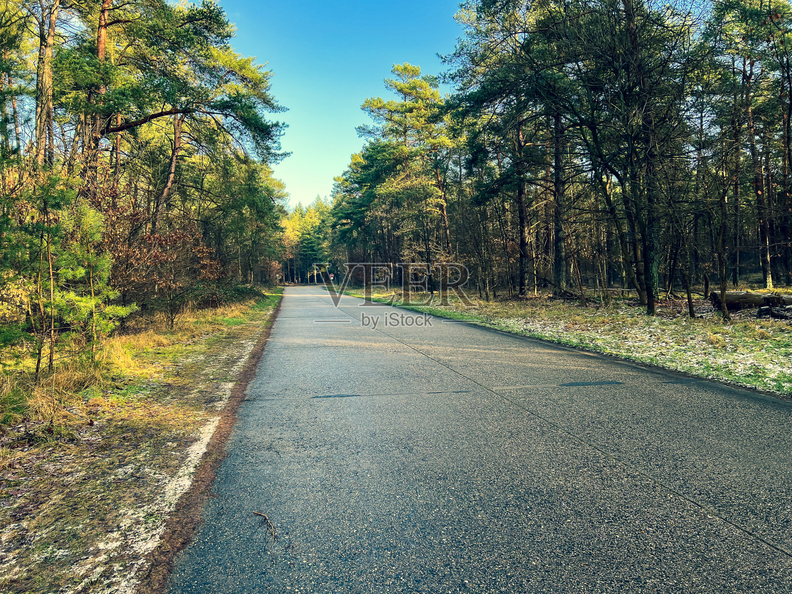 冬天穿过有雪的森林的一条路。照片摄影图片
