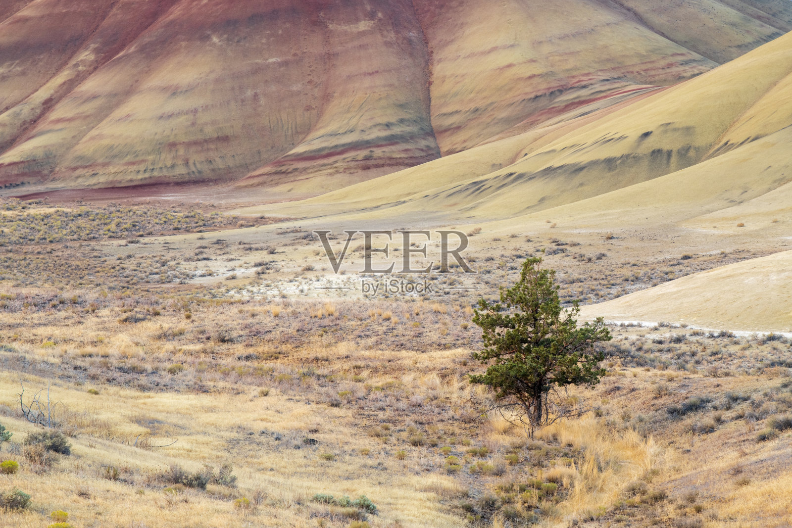 画山风光照片摄影图片
