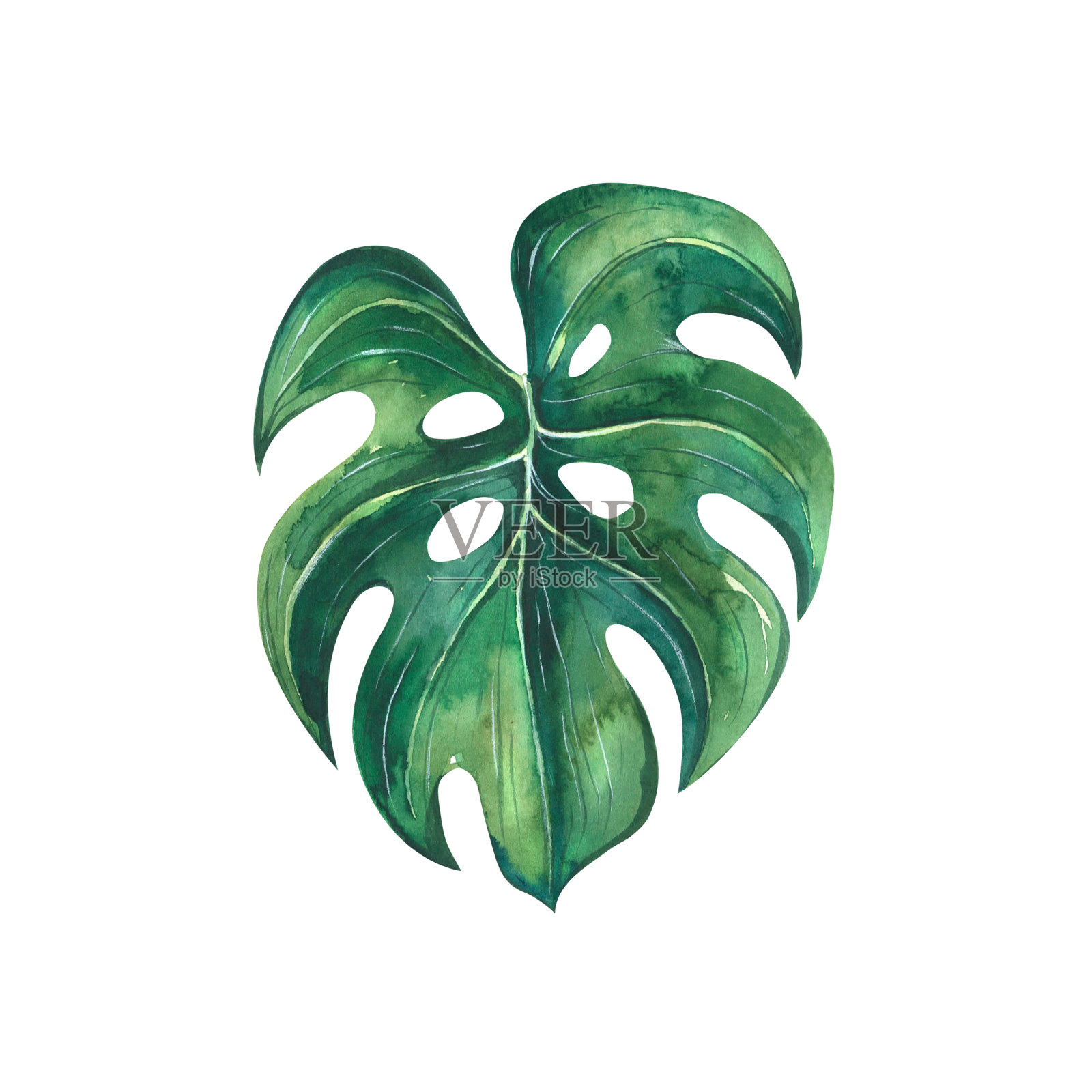 水彩插图孤立在一个海滩酒吧的主题。插画图片素材