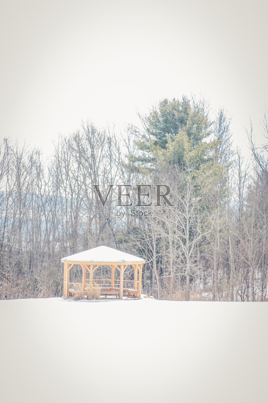 美丽的塞内加湖冬季景色照片摄影图片