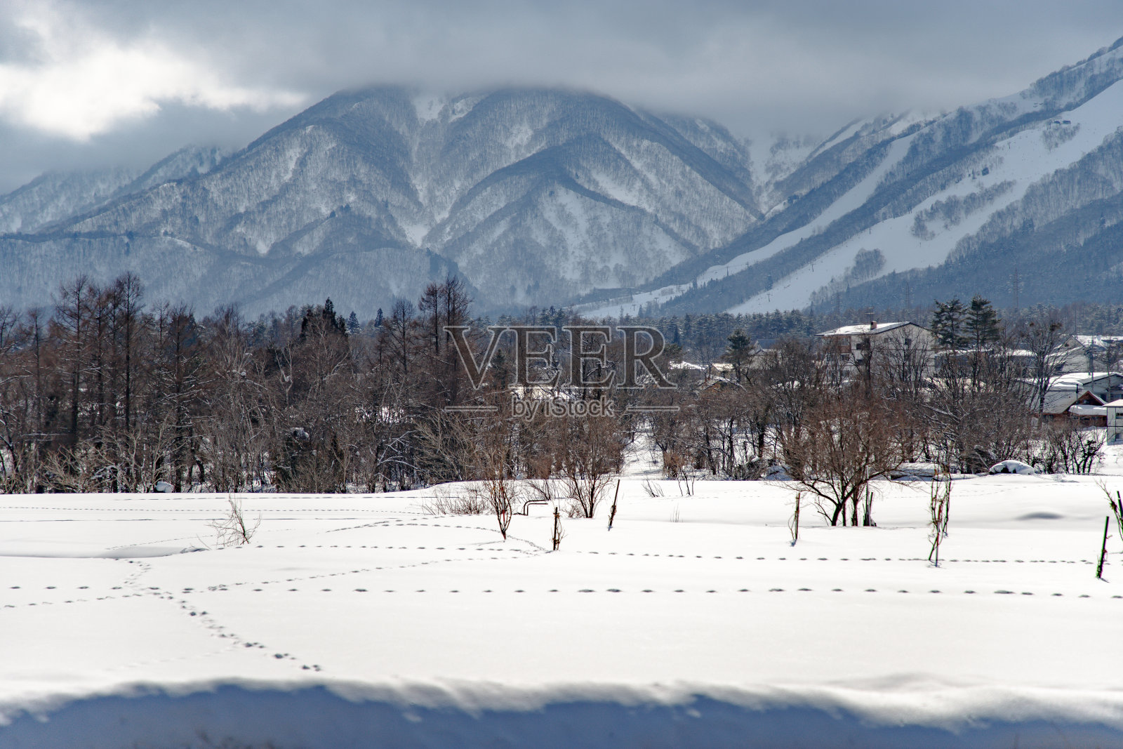 田野在一个村庄和被雪覆盖的山脉照片摄影图片