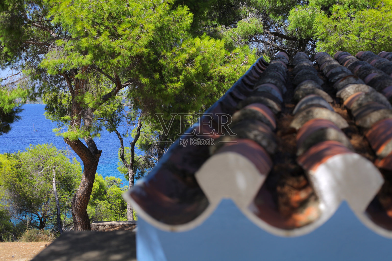 帆船屋顶照片摄影图片