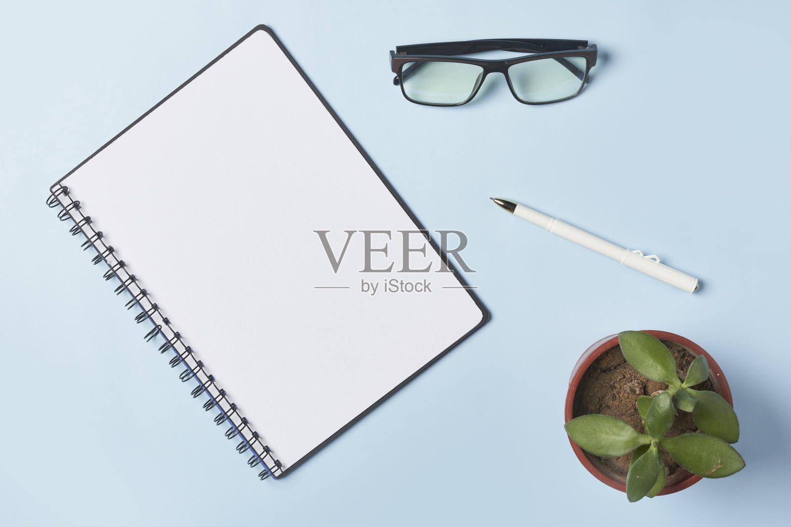 明亮的办公室里工作照片摄影图片