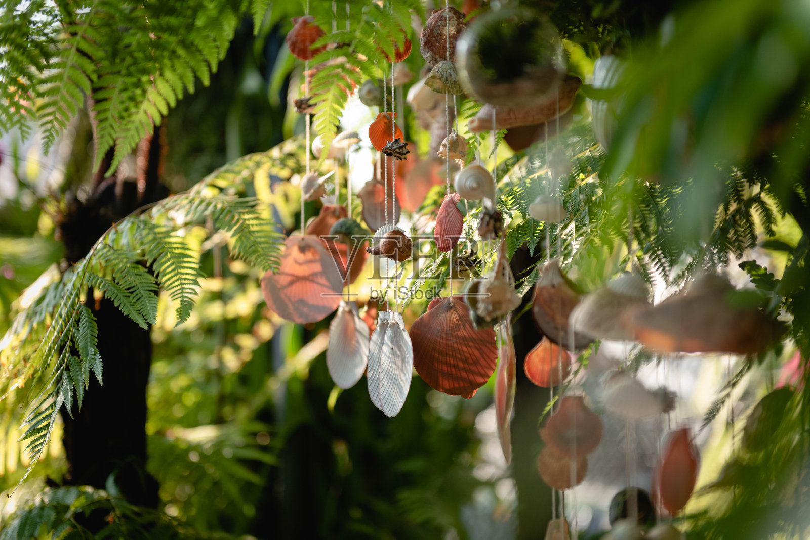 自然照片摄影图片