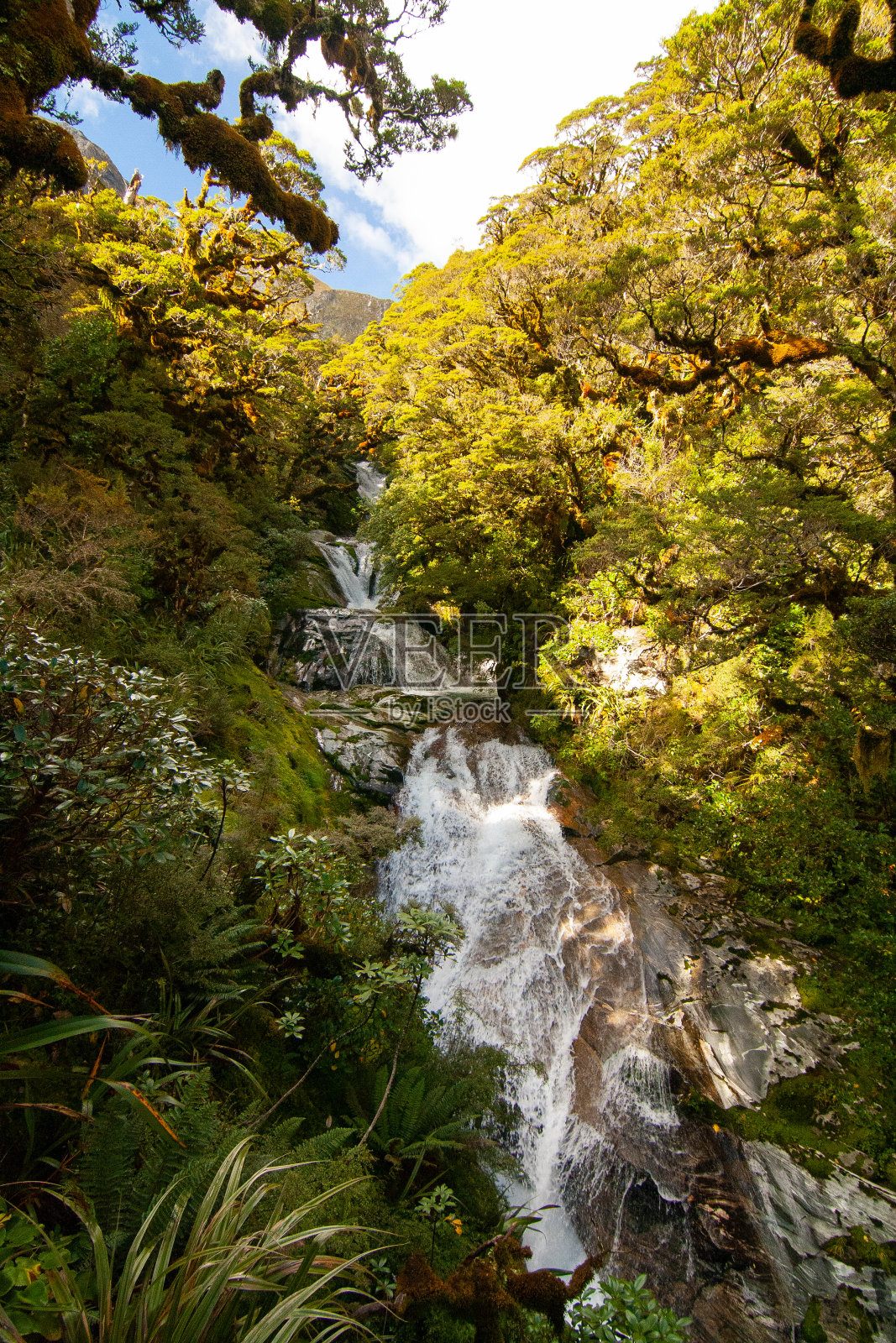 安德森瀑布米尔福德轨道瀑布，冰碛溪，峡湾，新西兰照片摄影图片