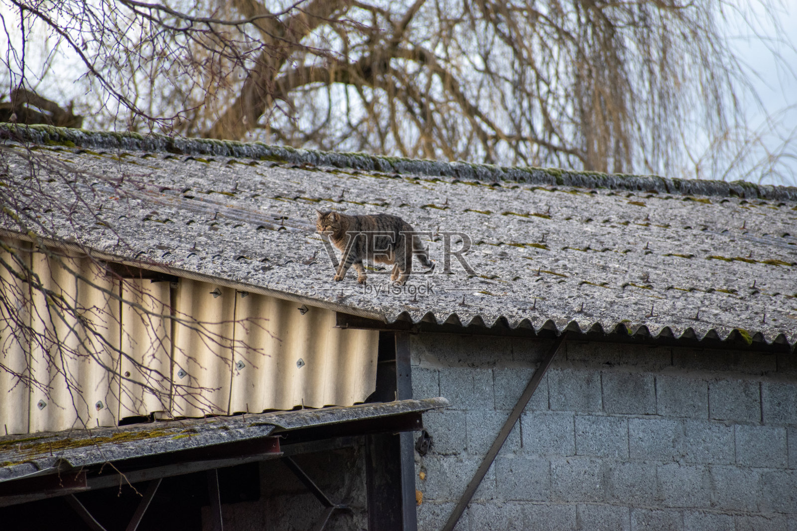 闲谈，聊天照片摄影图片