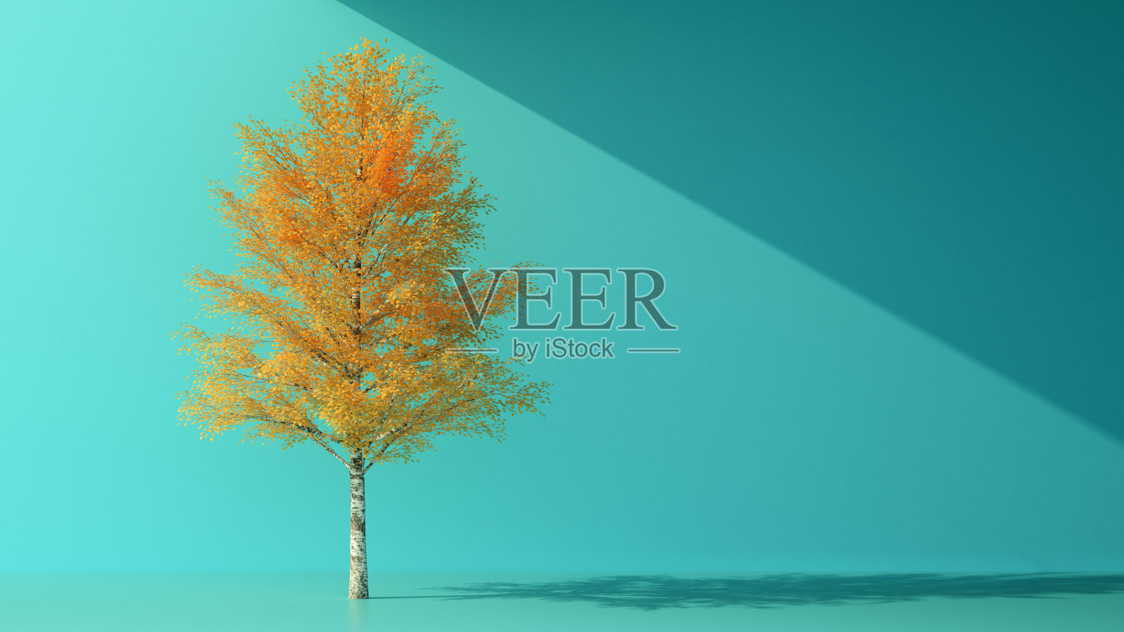 秋季橘色树在柔和的蓝色背景与复制空间照片摄影图片