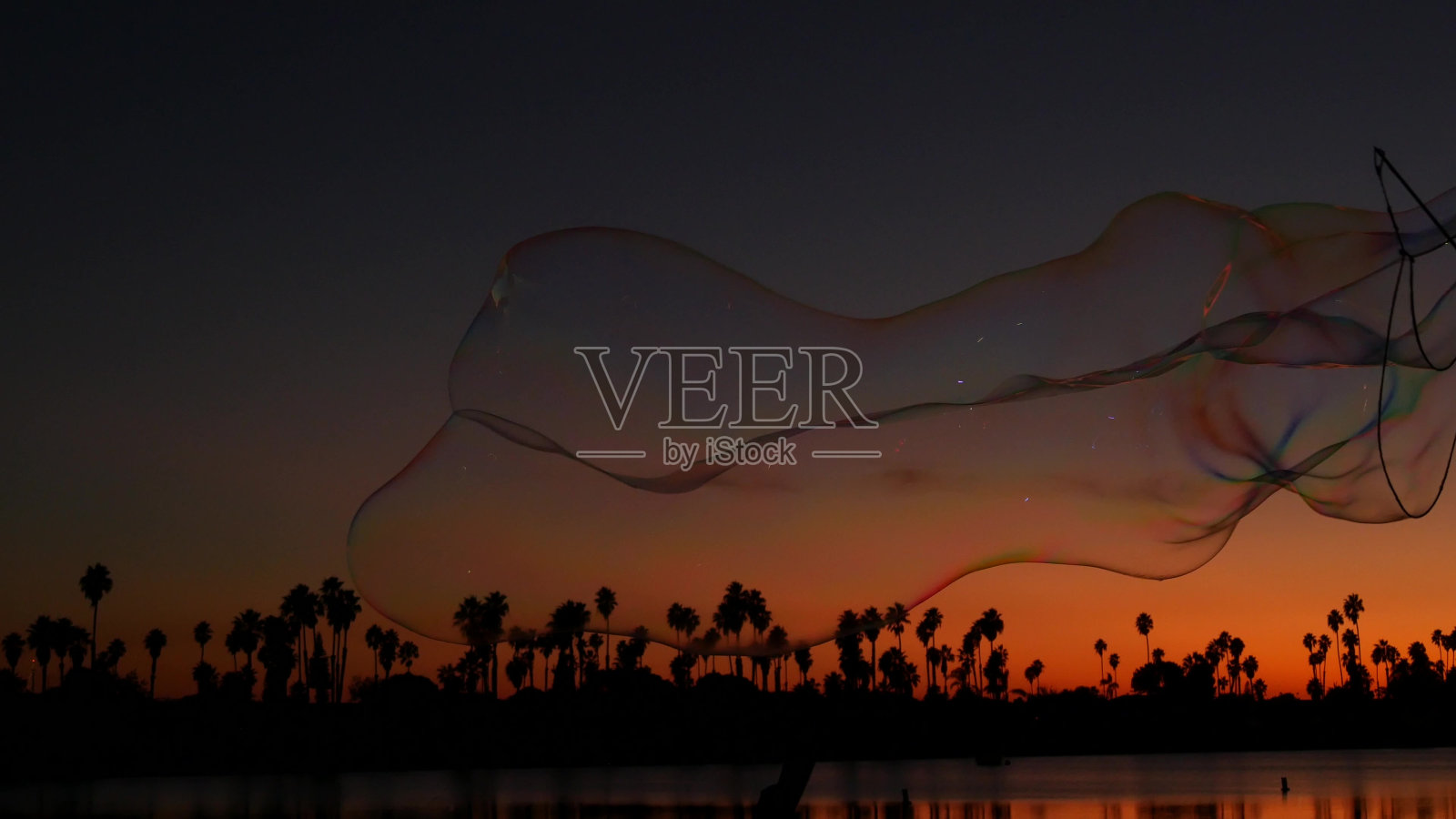 棕榈树的剪影，日落的海洋海滩，肥皂泡，加利福尼亚海岸，美国。照片摄影图片