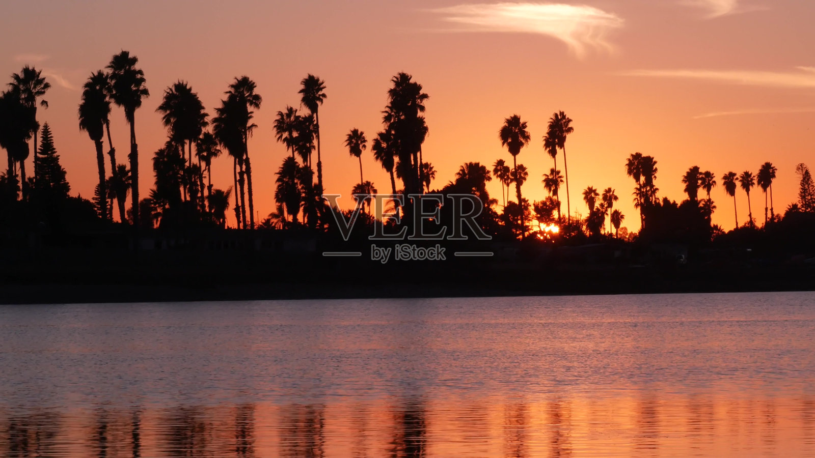 许多棕榈树的剪影反射，日落海洋海滩，加利福尼亚海岸美国照片摄影图片