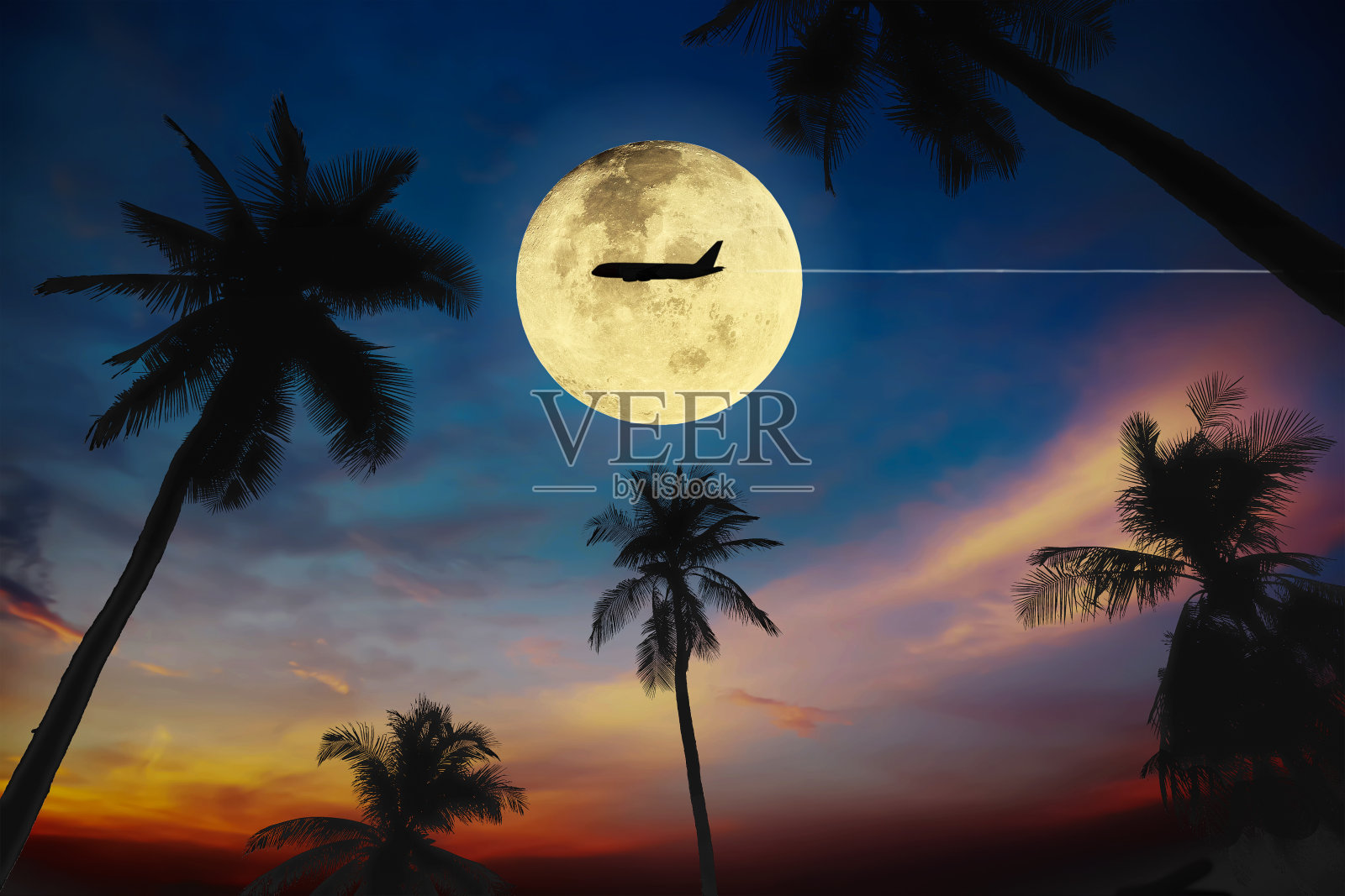 剪影棕榈树与五彩缤纷的黄昏热带夏日天空和飞机飞越大黄色满月为旅游业的介绍和报告背景。照片摄影图片