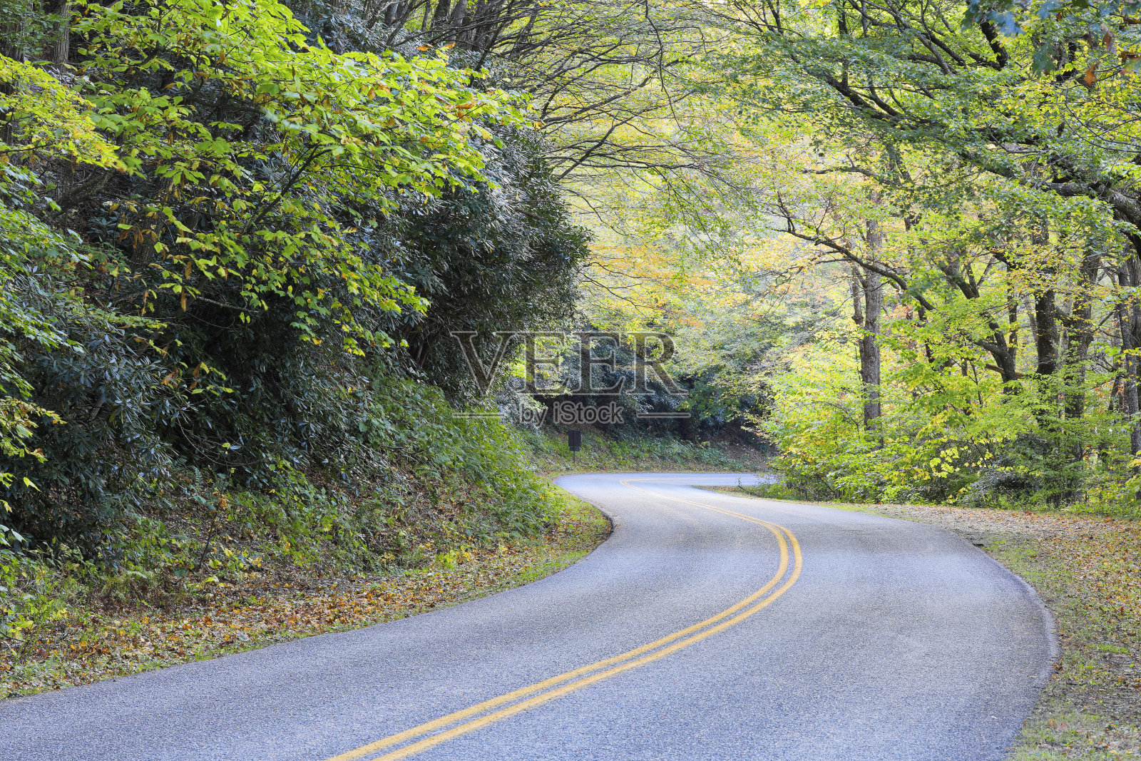 蓝脊公园路-北卡罗莱纳州照片摄影图片