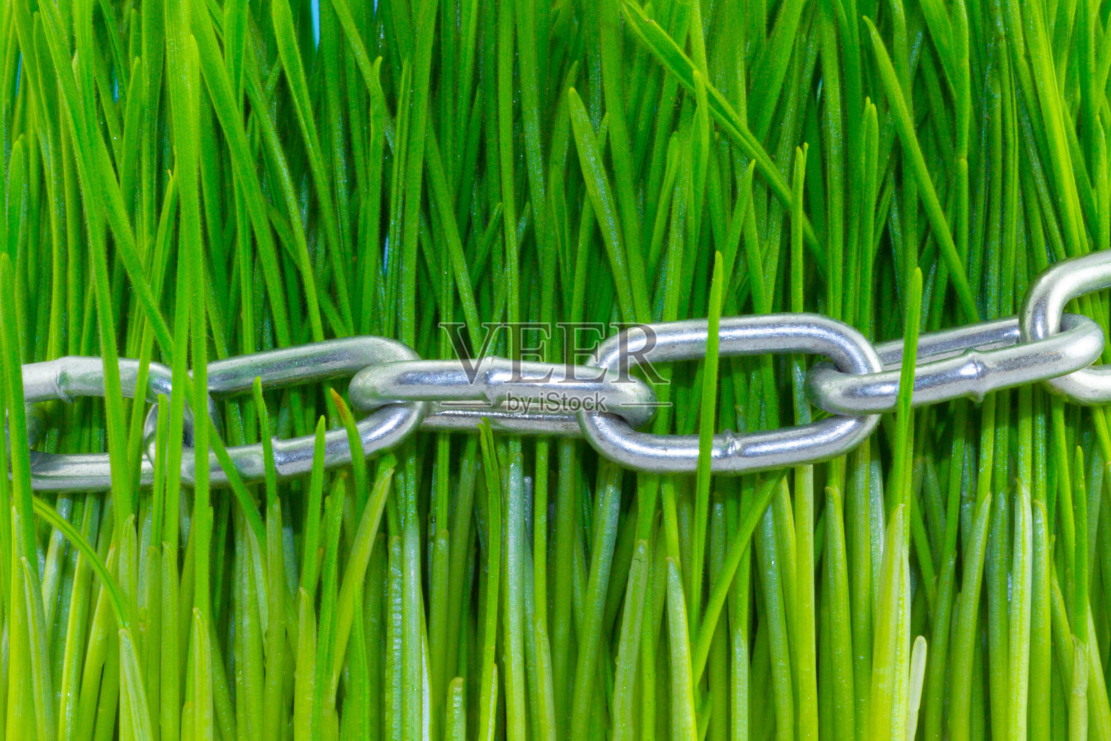 绿草如茵的金属链。生态背景。对地球生态和全球变暖的威胁照片摄影图片