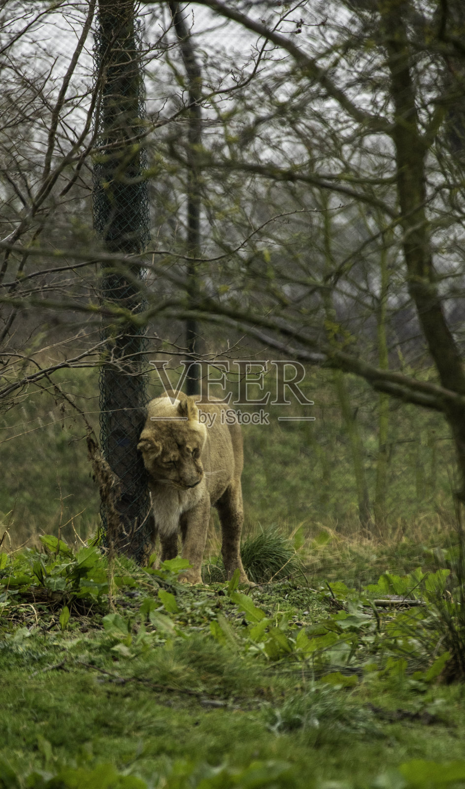 回朋友照片摄影图片